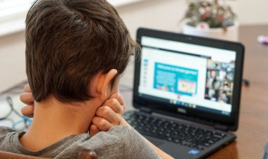 Razmatranje opcija - od 2. studenog sve istarske škole prelaze na online nastavu?