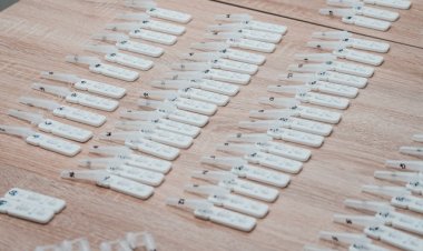 PORAST BROJKI: U Istri više od 70 novozaraženih, tri osobe preminule