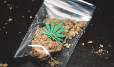 Policija zaustavila Slovenca koji je kod sebe imao različite vrste droga