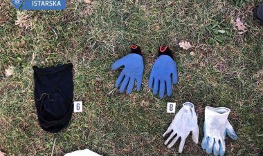 Pulska policija pronašla serijske provalnike