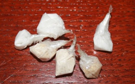 Policija zaplijenila drogu od više osoba