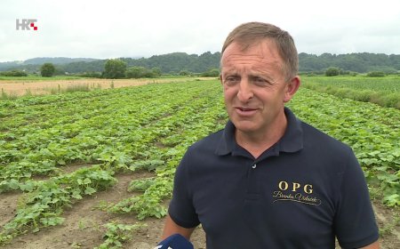 Obitelj Vidaček iz Seljanca uzgaja bundeve na više od sedam hektara