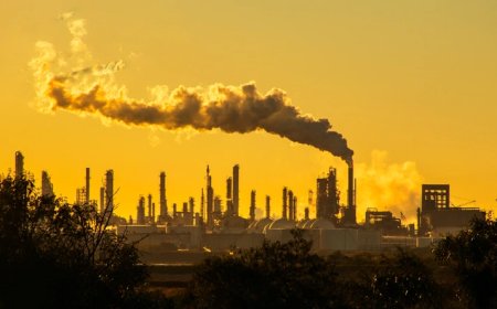 Upozorenje iz Afrike: Svijet gubi utrku s klimatskim promjenama