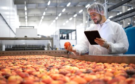 Proizvođačke cijene industrije porasle 29. mjesec za redom