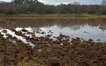 Potpora poljoprivrednicima za ublažavanje posljedica prirodnih nepogoda