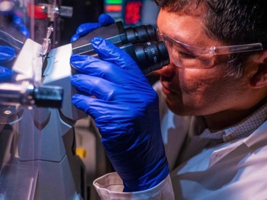 Molekularni udarni čekić uništava 99% stanica raka, a bežični milirobot razbija krvne ugruške