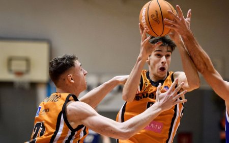 Pobjede Šibenke, Cedevite i Alkara