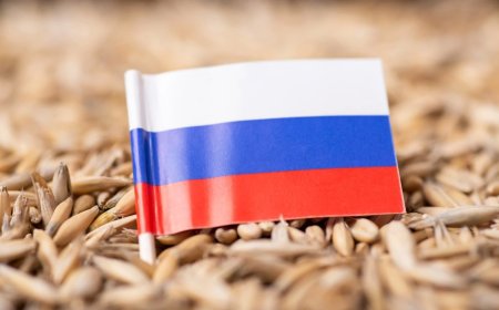 EK predlaže povećanje carina na uvoz žitarica iz Rusije i Bjelorusije