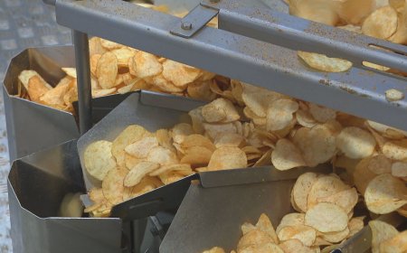 Nedostatak krumpira u Europi prilika je za domaću industriju