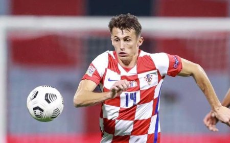 Budimir će biti spreman za EURO