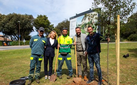 Na Dan planeta Zemlje posađena stabla na Verudeli