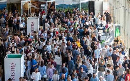 POREČ: za vikend jubilarna Vinistra, afterparty se nastavlja u gradu