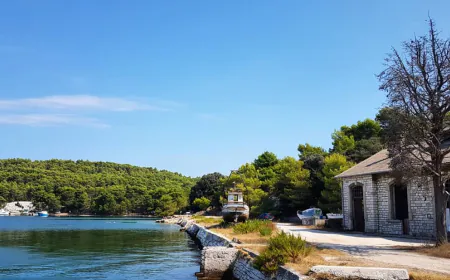 U subotu izlučivanje divljači na području Valelunge i Štinjana