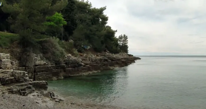 Možemo! Pula: "Zoričić uz toliko more - izmišlja toplu vodu"