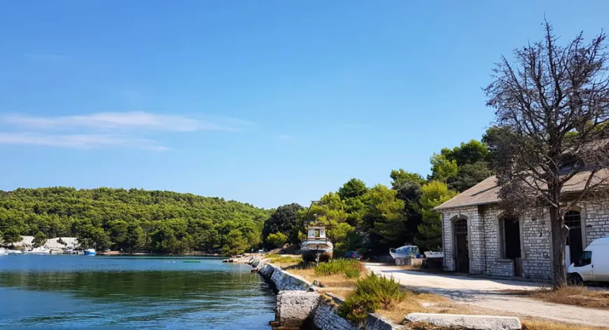 Ove subote izlučivanje divljači na području Vallelunge i Štinjana