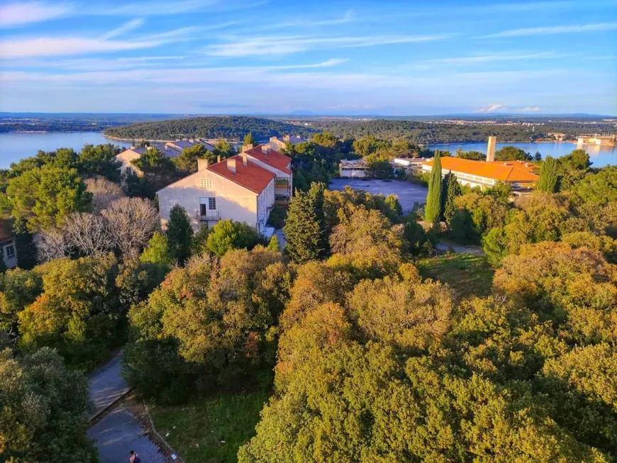 Ove subote 21. prosinca na području Muzila zadnje ovogodišnje izlučivanje divljači