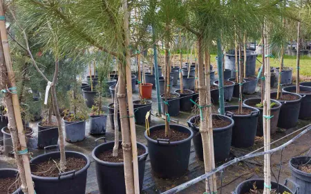 Grad Pula provodi brojne aktivnosti u sklopu obilježavanja Dana planeta Zemlje