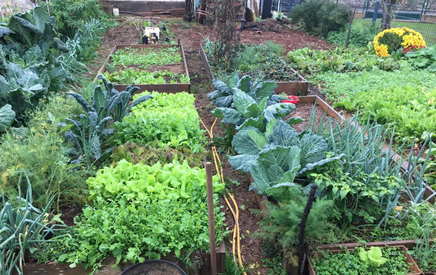 Besplatna radionica u Društvenom vrtu Gregovica: Što naš vrt radi zimi?